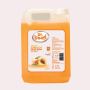 Handwash Apricot (5L)